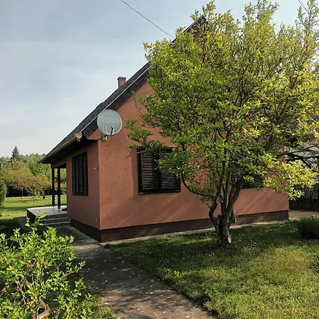 Tulipan Vendeghaz Gyenesdias