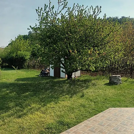Tulipan Vendeghaz Holiday home